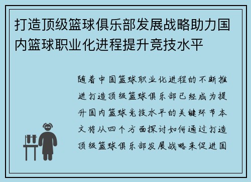 打造顶级篮球俱乐部发展战略助力国内篮球职业化进程提升竞技水平