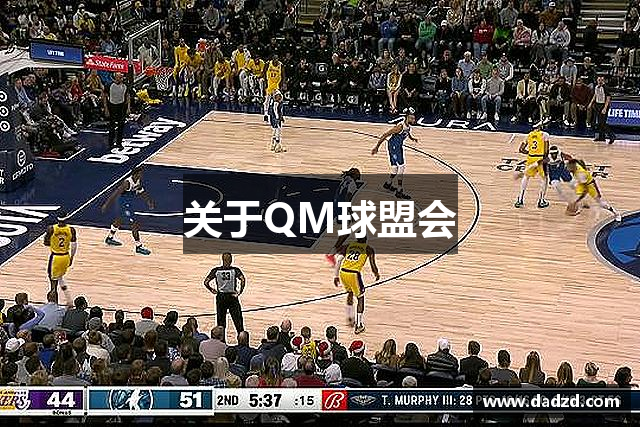 关于QM球盟会